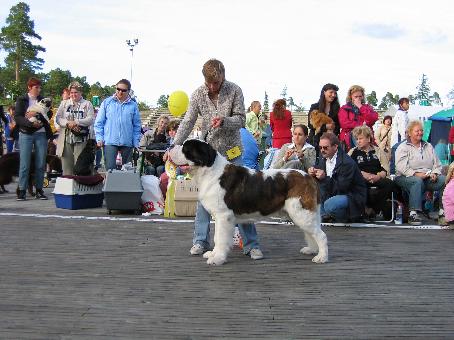 Dogshow in Keila